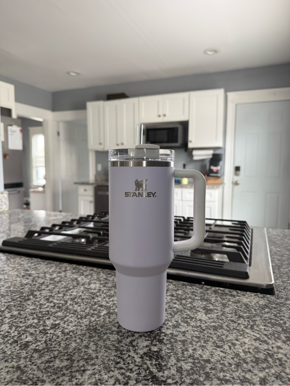 Stanley Lavender 40oz Tumbler